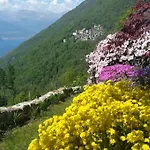 Ca'capriolo Taceno