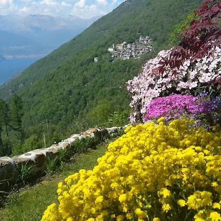Ca'capriolo Taceno